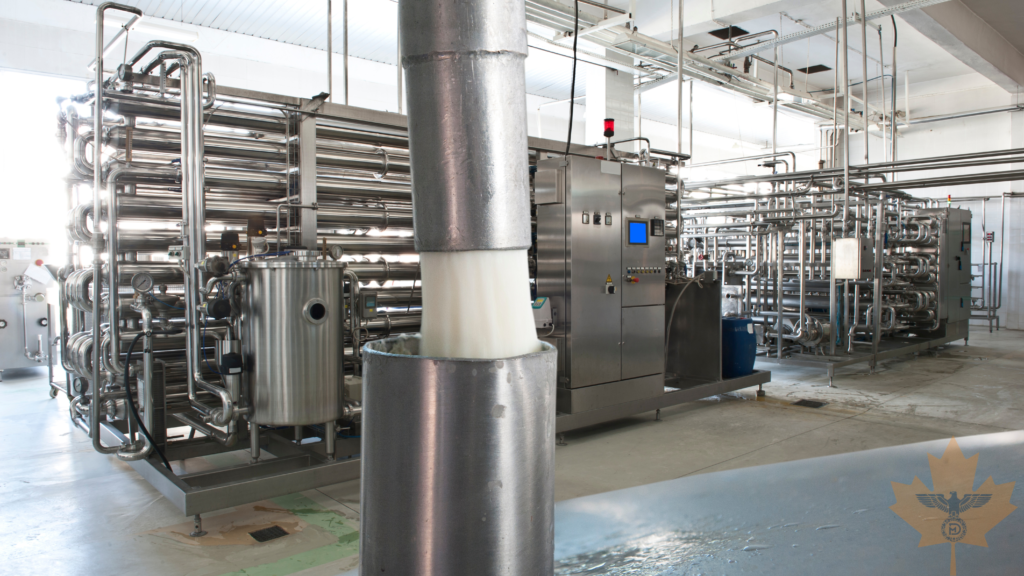 Maple Dynamics precision steel fabrication facility in Gujarat India showing advanced manufacturing capabilities'